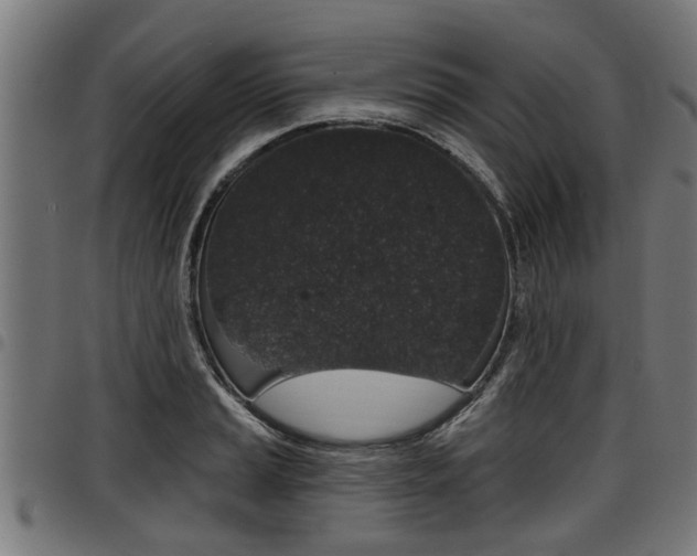 X0000098011037200803280726