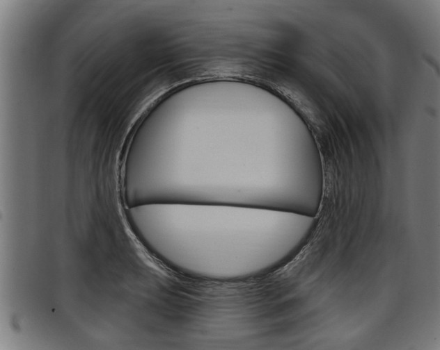 X0000098011039200803280726