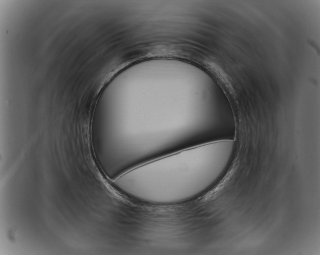 X0000098011041200803280726