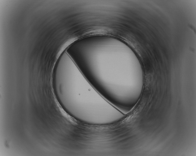 X0000098011042200803280726