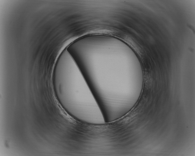 X0000098011044200803280726