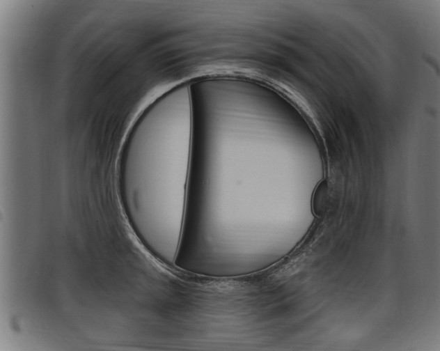 X0000098011045200803280726