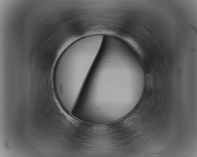 X0000098011046200803280726