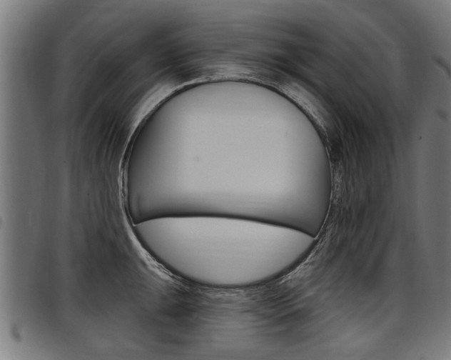 X0000098011047200803280726
