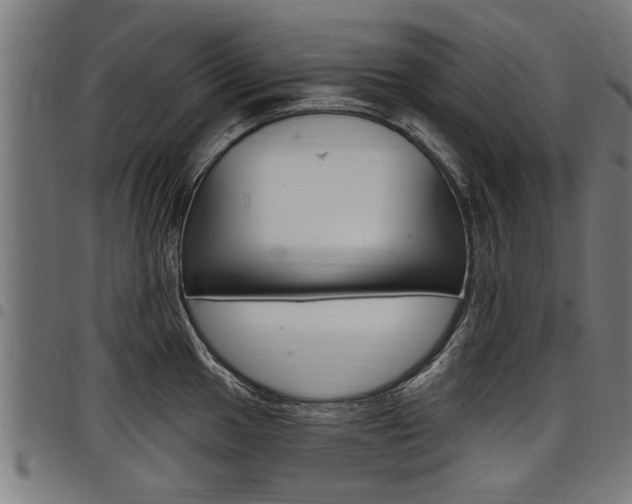 X0000098011049200803280726