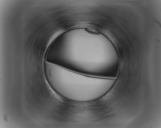 X0000098011050200803280726