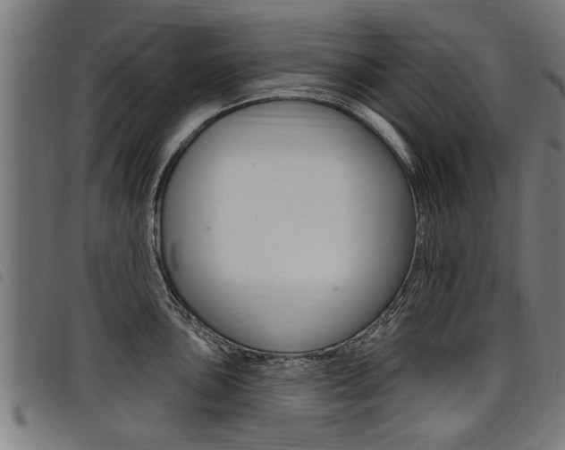X0000098011051200803280726