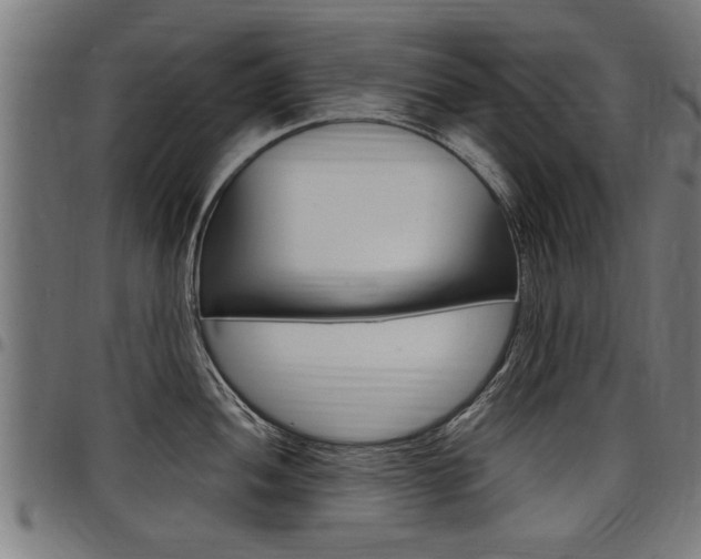 X0000098011052200803280726