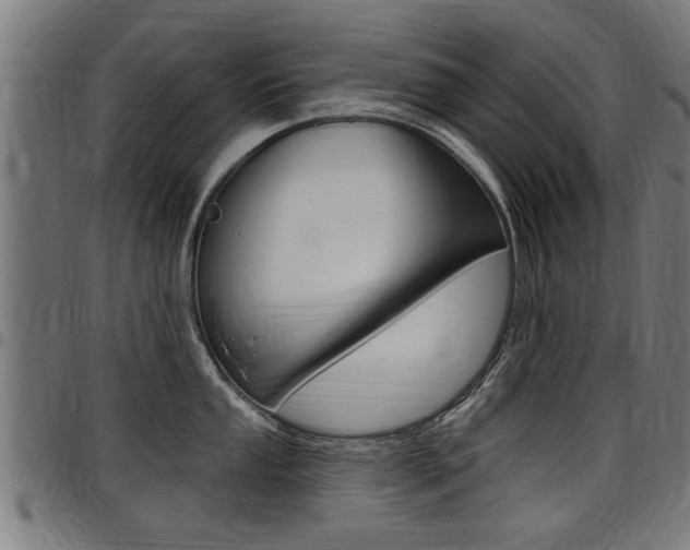 X0000098011053200803280726