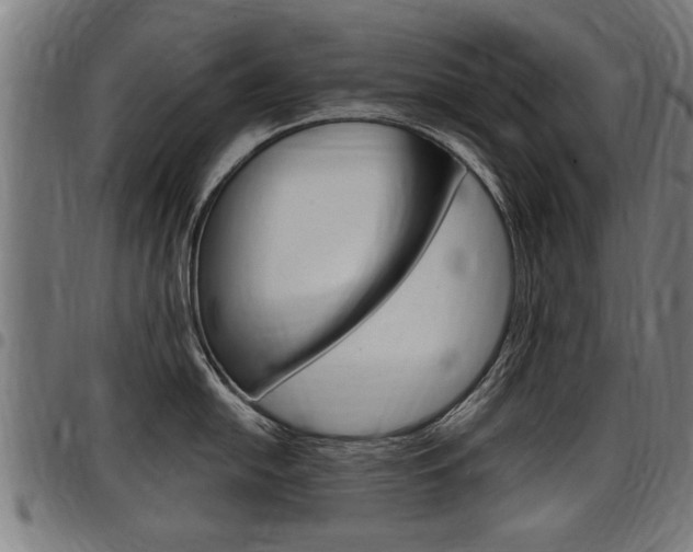X0000098011054200803280726