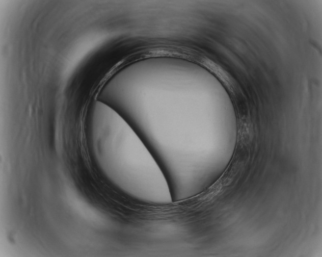 X0000098011055200803280726