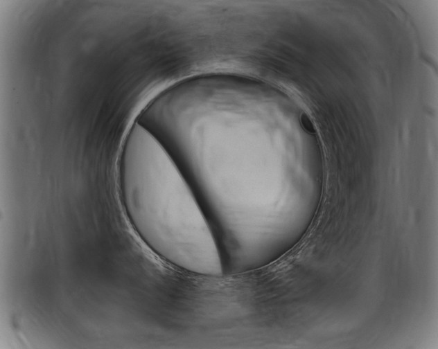 X0000098011056200803280726