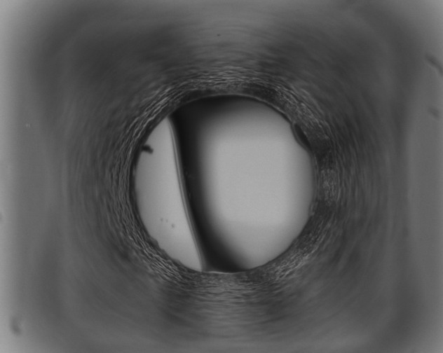 X0000098011057200803280726
