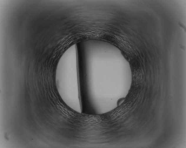 X0000098011058200803280726