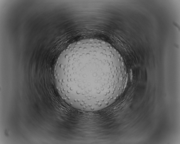 X0000098011059200803280726