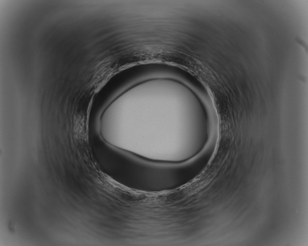 X0000098011060200803280726
