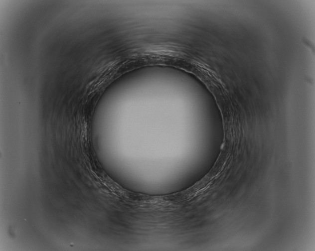 X0000098011061200803280726