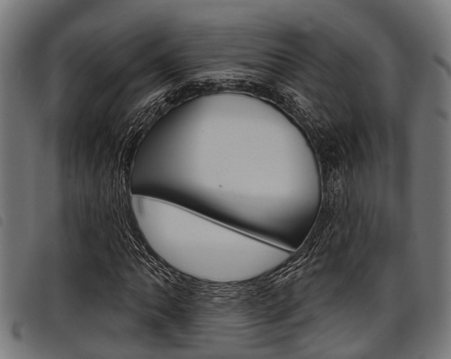 X0000098011062200803280725