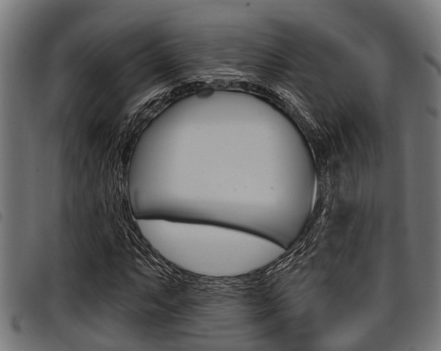 X0000098011063200803280725