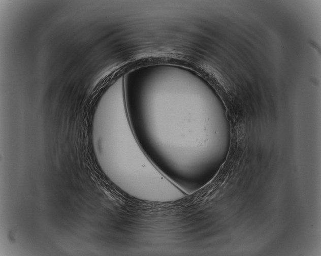 X0000098011064200803280725