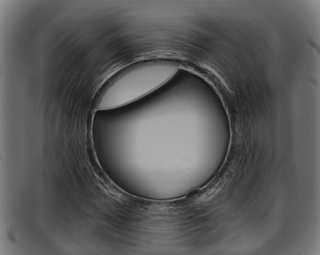 X0000098011065200803280725