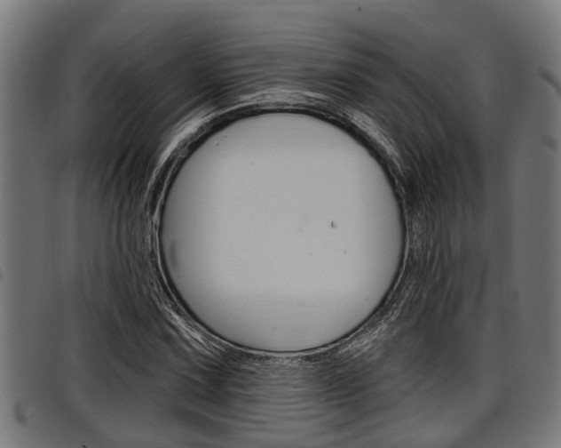 X0000098011067200803280725