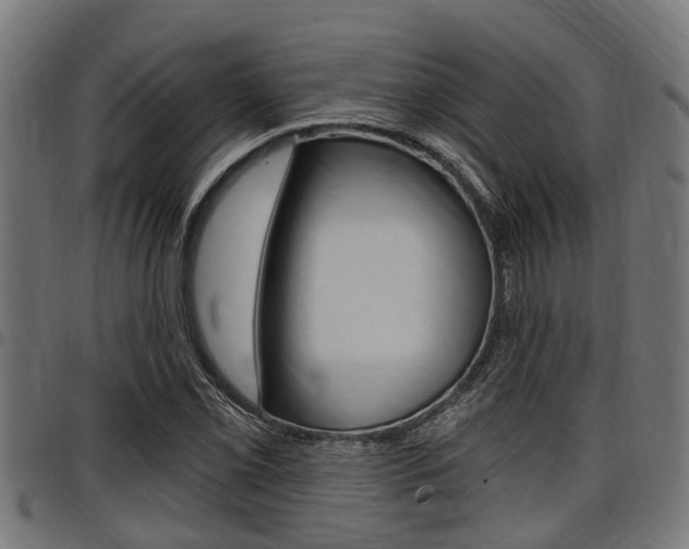 X0000098011069200803280725