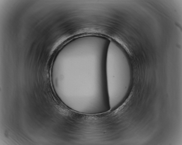 X0000098011070200803280725