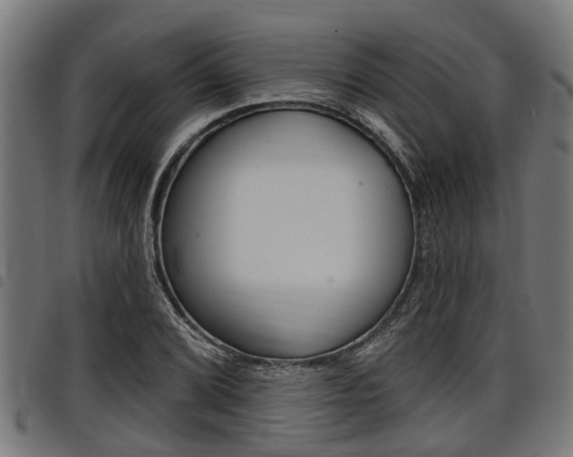 X0000098011072200803280725