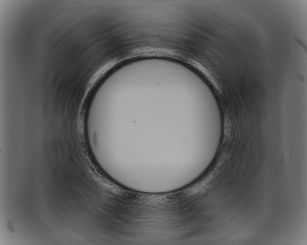X0000098011074200803280725