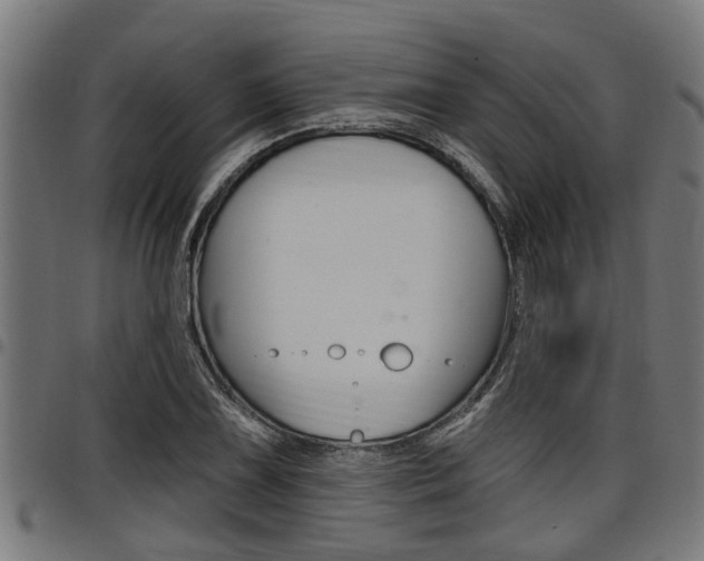 X0000098011075200803280725