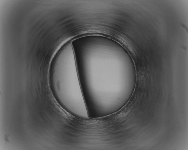 X0000098011076200803280725