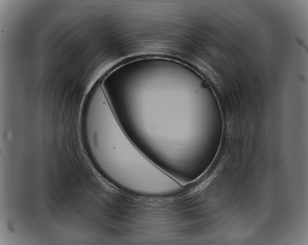 X0000098011077200803280725