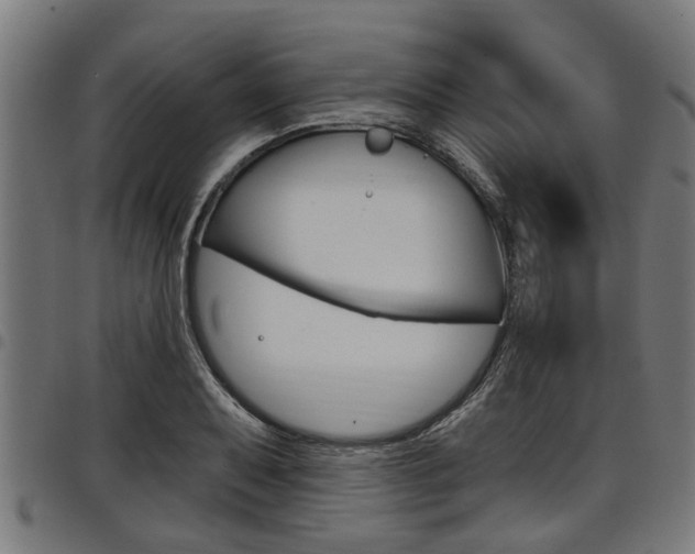 X0000098011079200803280725