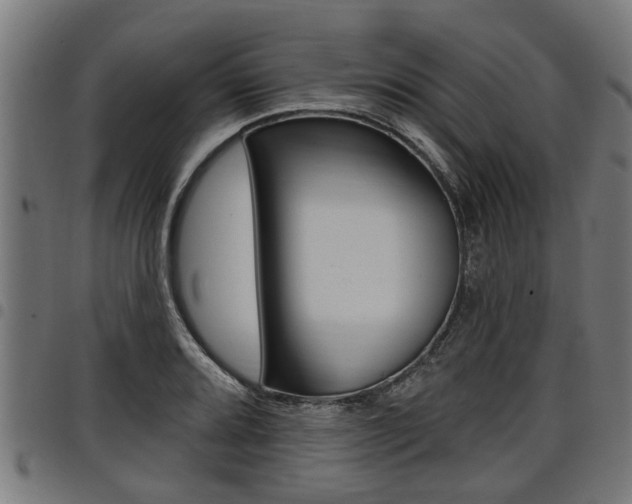 X0000098011080200803280725