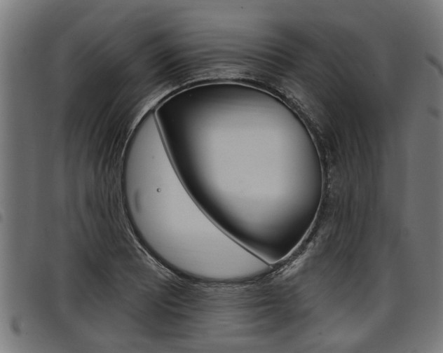 X0000098011081200803280725