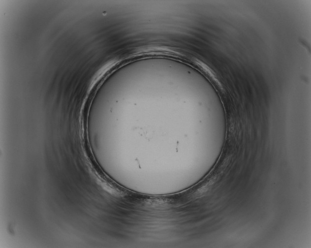 X0000098011082200803280725