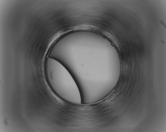 X0000098011083200803280725