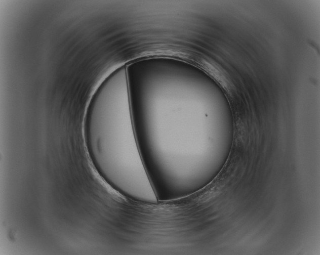X0000098011084200803280725