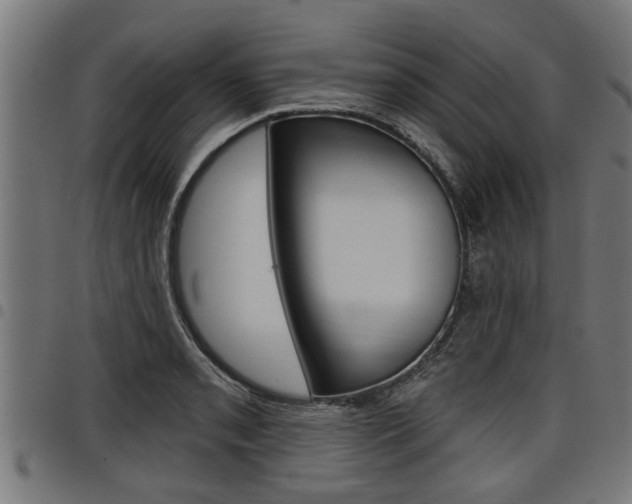 X0000098011085200803280725