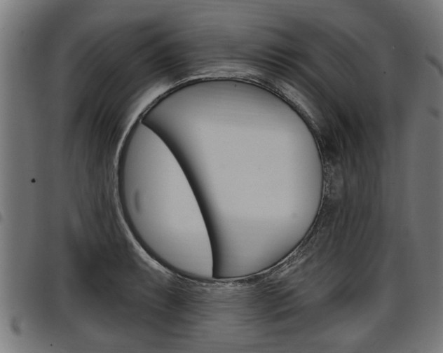 X0000098011087200803280725