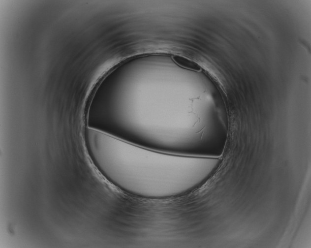 X0000098011088200803280725