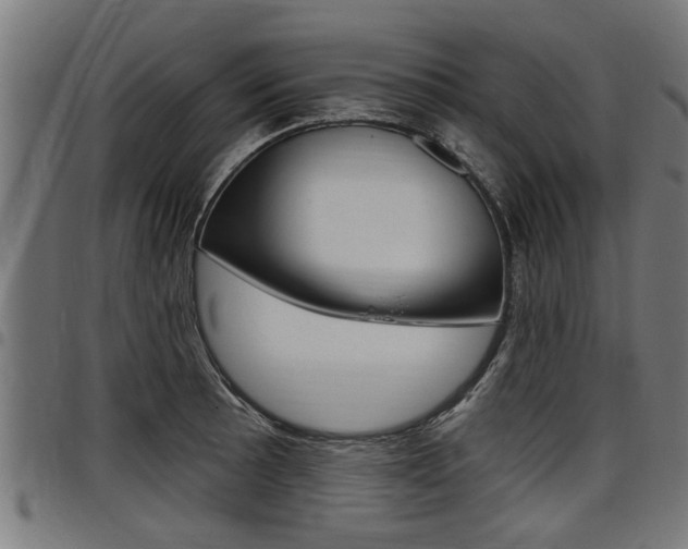 X0000098011089200803280725
