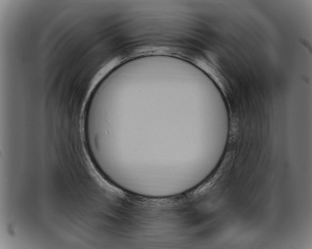 X0000098011090200803280725