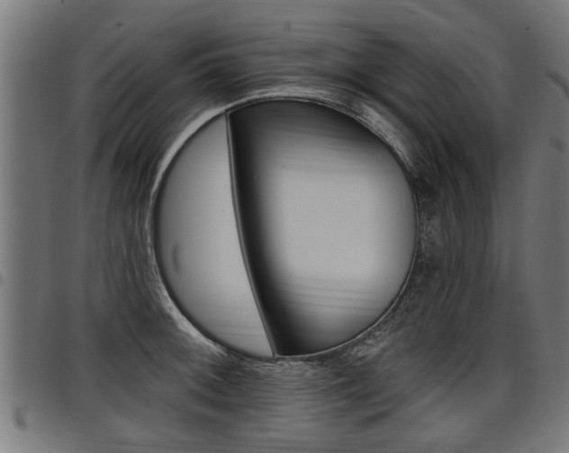 X0000098011092200803280725