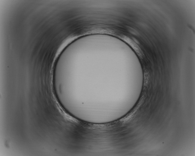 X0000098011094200803280725