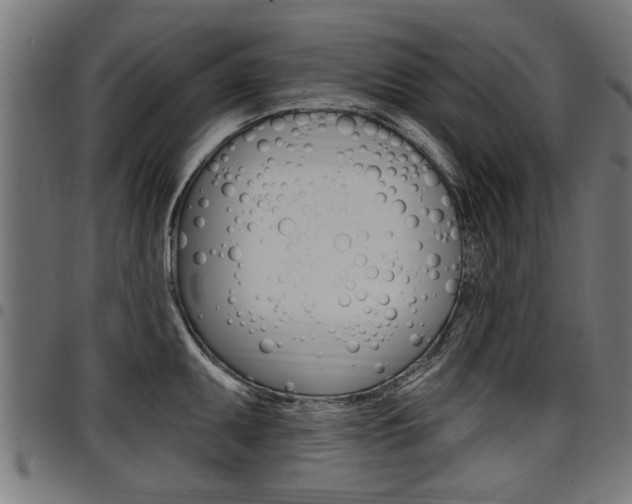 X0000098011095200803280725