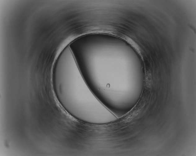 X0000098011096200803280725