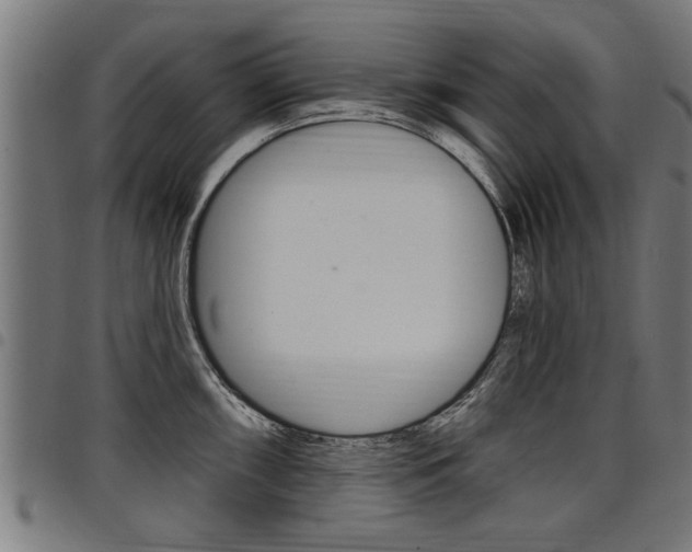 X0000098011098200803280725
