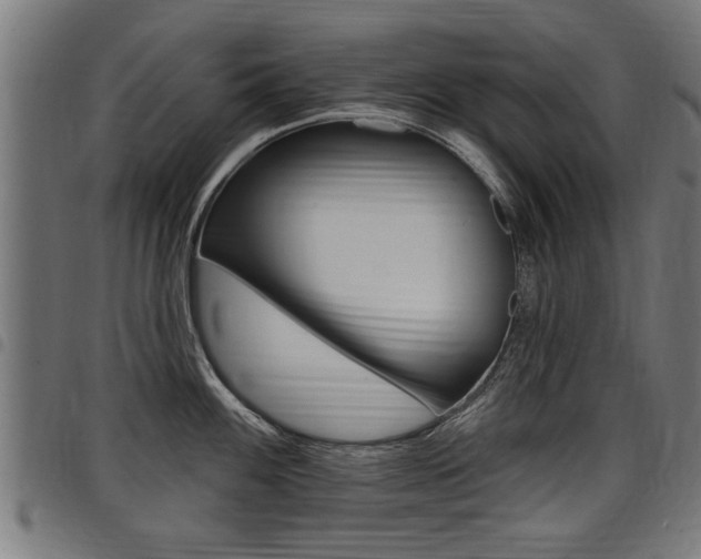 X0000098011100200803280725
